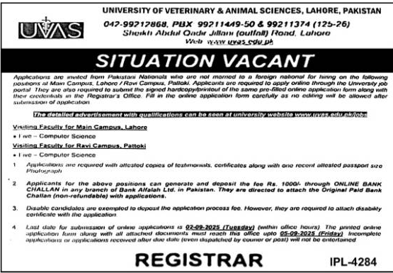 Jobs in University of Veterinary & Animal Sciences Lahore